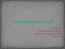 Презентация по окружающему миру на тему Опыление растений
