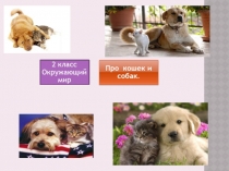 Презентация по окружающему миру на тему Про кошек и собак