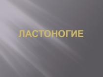 Презентация по биологии по теме Отряд Ластоногие