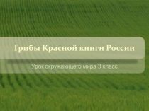 Презентация по окружающему миру на тему: Грибы Красной книги России