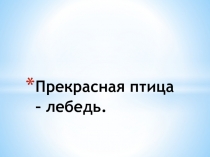 Презентация по окр. миру на тему: Прекрасная птица - лебедь