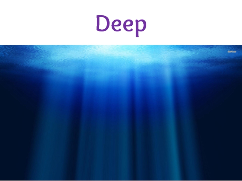 Презентация по английскому языку на тему Владивосток (5 класс) Deep Deep