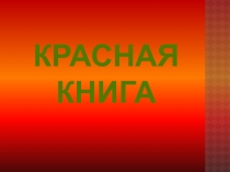 Презентация детей по Окружающему миру. Красная книга.