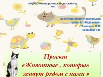 Презентация  Проект в подготовительной группе на тему Животные, которые живут рядом с нами