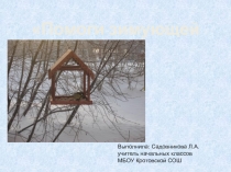 :  Помоги зимующей птице