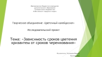 Презентация: Зависимость сроков цветения хризантем от сроков черенкования, младший школьный возраст