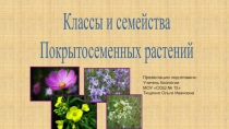 Презентация по биологии Классы покрытосеменных