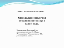 Презентация к ученическому проекту по экологии Определение свинца в талой воде