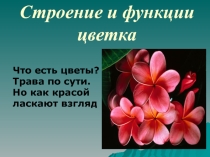 Презентация к уроку цветок