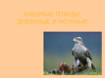 хищные птицы