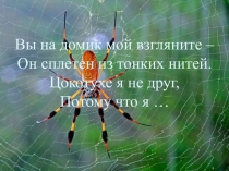 Презентация по биологии для 7 класса Строение паутины и ее роль