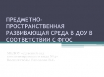 Предметно-пространственная развивающая среда в ДОУ