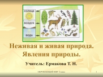 Презентация по окружающему миру Живая и неживая природа