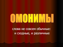 Презентация в 5 классе на тему Омонимы