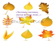 Презентация ! мл.гр Естествознание Листопад, листопад листья желтые летят