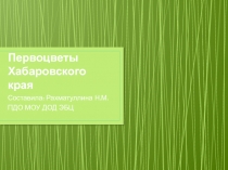Презентация по окружающему миру Первоцветы Хабаровского края