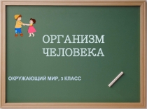 Презентация по оркружающему миру Организм человека