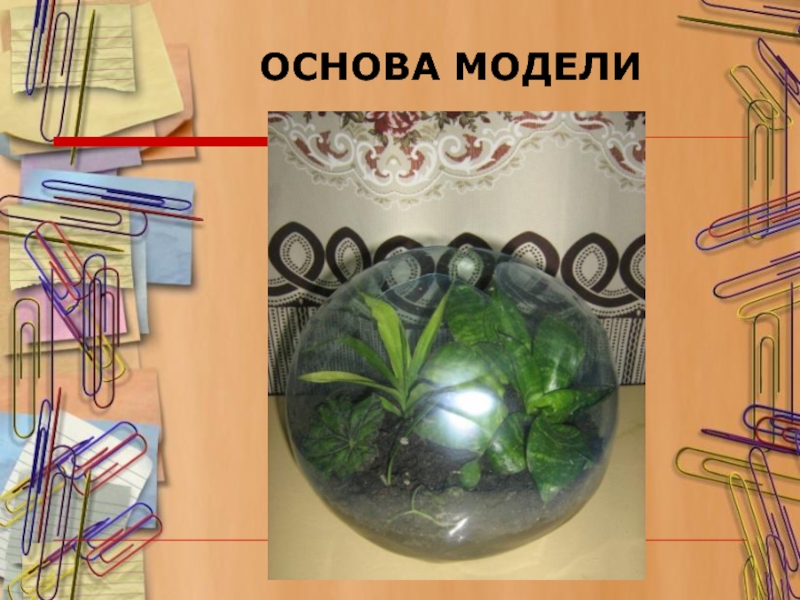 Презентация к проекту Сад в миниатюре ОСНОВА МОДЕЛИ ОСНОВА МОДЕЛИ