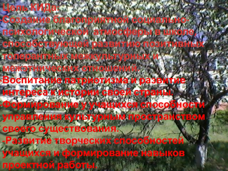 Презентация проведения открытого внеклассного мероприятия. Все мы разные, но мы едины.