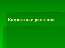 Комнатные растения
