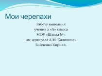 Презентация по теме Мои черепахи