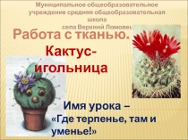 Презентация к уроку технологии по теме: Работа с тканью. Кактус-игольница