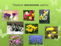 Урок-презентация по Окружающему миру по теме Весенняя суета