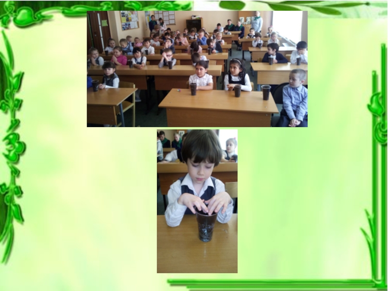 Презентация для классного часа Экология
