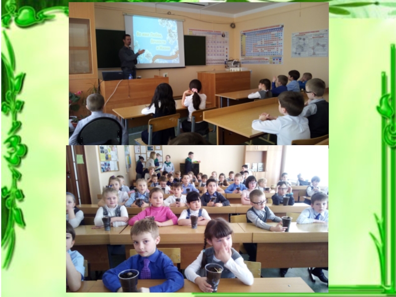 Презентация для классного часа Экология