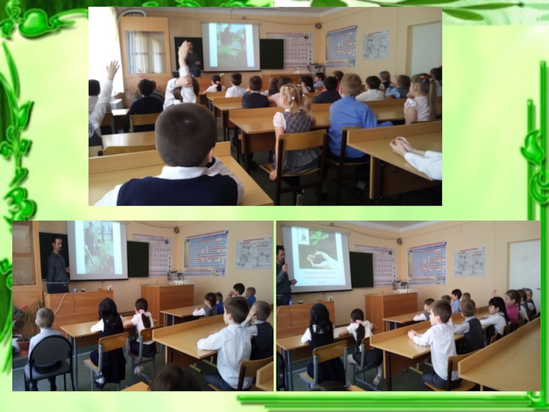 Презентация для классного часа Экология