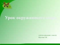 Урок Лес - природное сообщество Презентация.