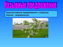 Презентация Назывные предложения 8 класс