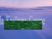 Презентация к уроку окружающего мира На Крайнем Севере