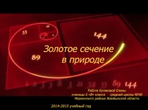 Презентация проект Золотое сечение
