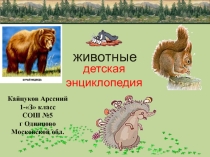 Презентация по природе животные