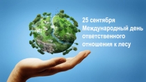 Белорусский лес. Беловежская пуща