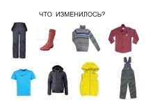 Презентация по социально-бытовой ориентировке на тему Повседневный уход за одеждой (5 класс)