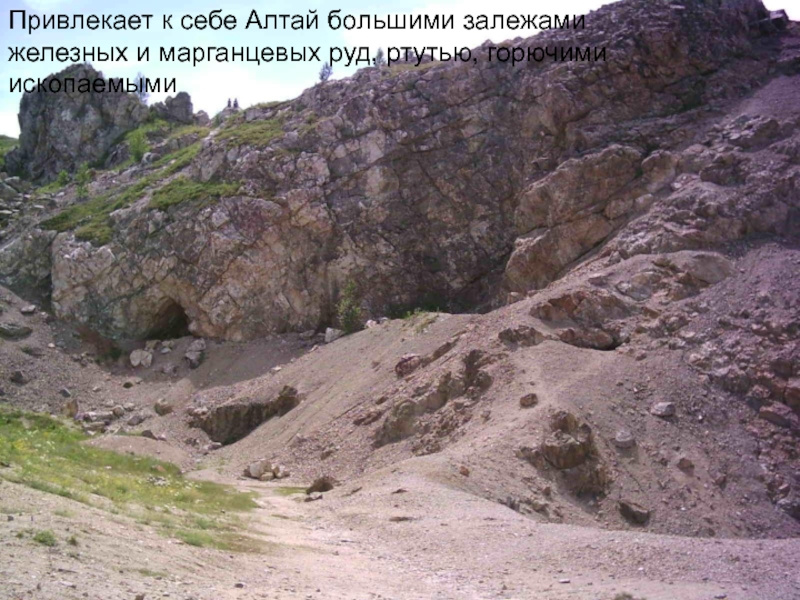 Презентация Алтай- наш край родной Привлекает к себе Алтай большими залежами железных и марганцевых руд, ртутью, горючими ископаемыми Привлекает к себе Алтай большими залежами железных и марганцевых руд, ртутью, горючими ископаемыми
