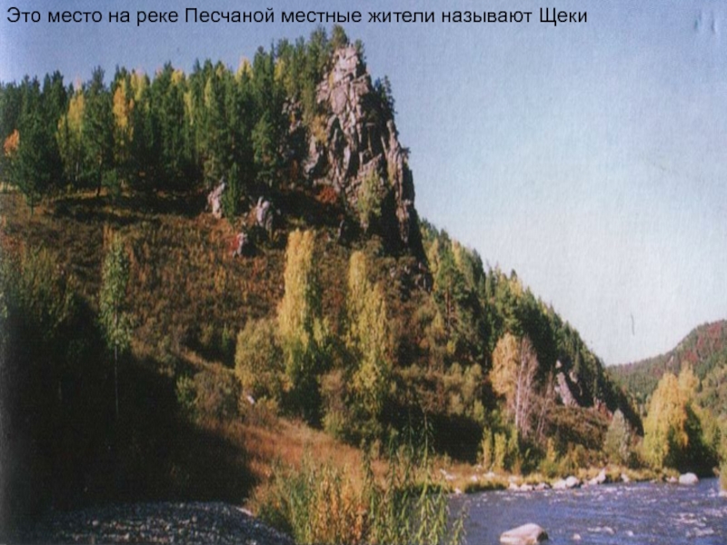 Презентация Алтай- наш край родной Это место на реке Песчаной местные жители называют Щеки Это место на реке Песчаной местные жители называют Щеки