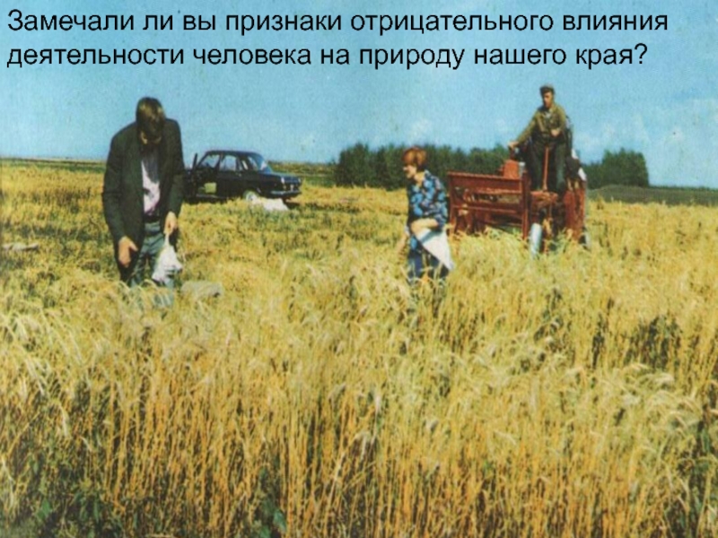 Презентация Алтай- наш край родной Замечали ли вы признаки отрицательного влияния деятельности человека на природу нашего края? Замечали ли вы признаки отрицательного влияния деятельности человека на природу нашего края?