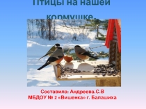 Презентация по экологии в детском саду Птицы