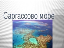 Презентация по географии 7 класс Саргассово море