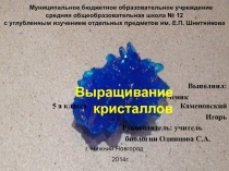 Презентация к НОУ по химии Выращивание кристаллов.