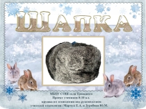 Проект Пошив шапки из кролика