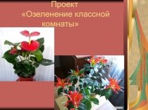 Презентация проектной работы на тему  Озеленение классной комнаты
