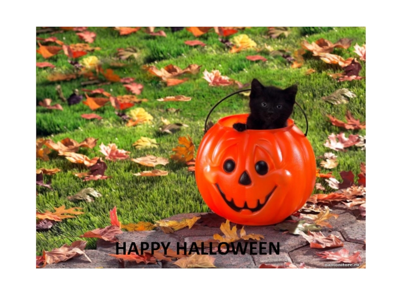 Презентация по английскому языку на тему Halloween HAPPY HALLOWEEN HAPPY HALLOWEEN
