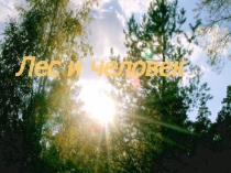 Презентация по окружающему миру Лес и человек