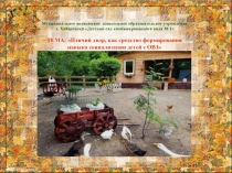 ТЕМА: Птичий двор, как средство формирования навыка социализации детей с ОВЗ