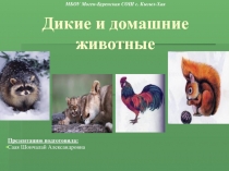 Презентация по русскому языкум на тему  Животные 2 класс