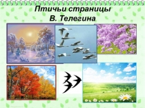 Презентация к стихотворению В.Телегиной Птичьи страницыдля детей младшего школьного возраста